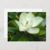Magnolia Bloom Savannah Georgia Briefkaart (Voorkant / Achterkant)