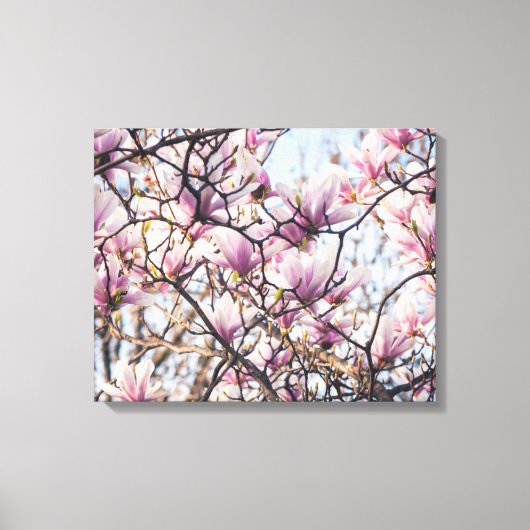 Magnolia blooming tree canvas afdruk (Voorkant)