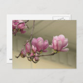 Magnolia Blooms Briefkaart (Voorkant / Achterkant)