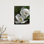 Magnolia Blooms Print -20x24 - andere formaten ook (Keuken)