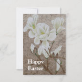 Magnolia Blossom (Voorkant)