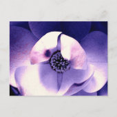 Magnolia Blossom Briefkaart (Voorkant)