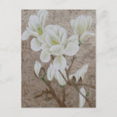 Magnolia Blossom Briefkaart (Voorkant)
