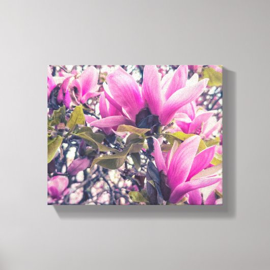Magnolia Blossom Canvas Afdruk (Voorkant)