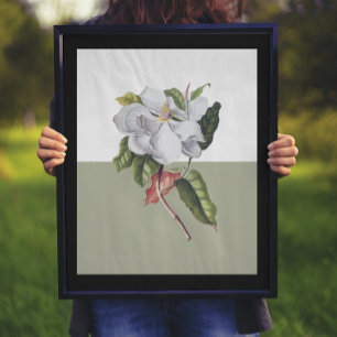 Magnolia Blossom Colorblock Poster