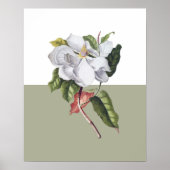  Magnolia Blossom Colorblock Poster (Voorkant)