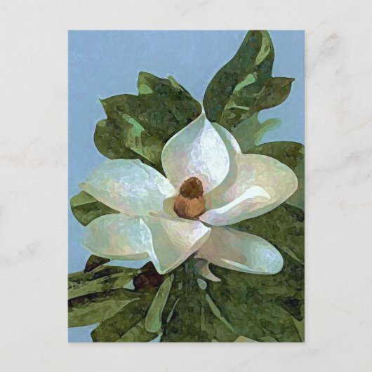 Magnolia Blossom Flower Briefkaart (Voorkant)