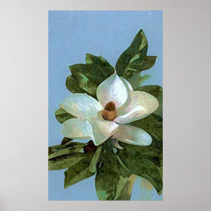 Magnolia Blossom Flower Poster Print