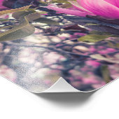 Magnolia Blossom Foto Afdruk (Hoek)