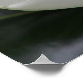 Magnolia Blossom op de Blacksburg-campus Poster (Hoek)