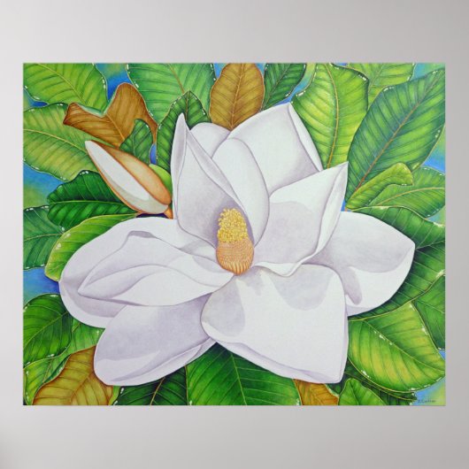 Magnolia Blossom Poster (Voorkant)