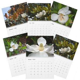 Magnolia Blossom - Prachtige fotografische Floral Kalender