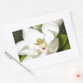 Magnolia Blossom Rechthoekige Sticker (Envelop)