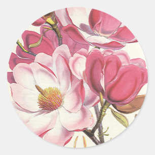  Magnolia Blossom, roze tuinbloemen Ronde Sticker