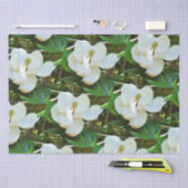 Magnolia BlossomPapier Tissuepapier (Craft)