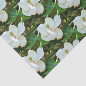 Magnolia BlossomPapier Tissuepapier (Detail)