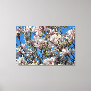 Magnolia Blossoms/Blue Sky Wrapped Canvas Print