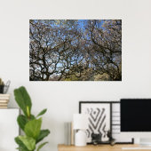 Magnolia bomen, takken en bloesem 05 poster (Thuiskantoor)