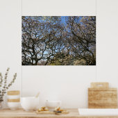 Magnolia bomen, takken en bloesem 05 poster (Keuken)