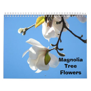 Magnolia Boom Bloemen Fotografie Kalenders Kalender