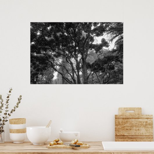 Magnolia-boom in zomerbaan poster (Keuken)