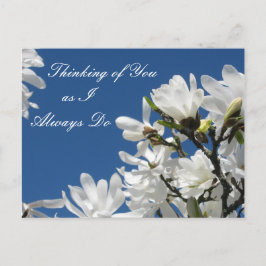 Magnolia Briefkaart