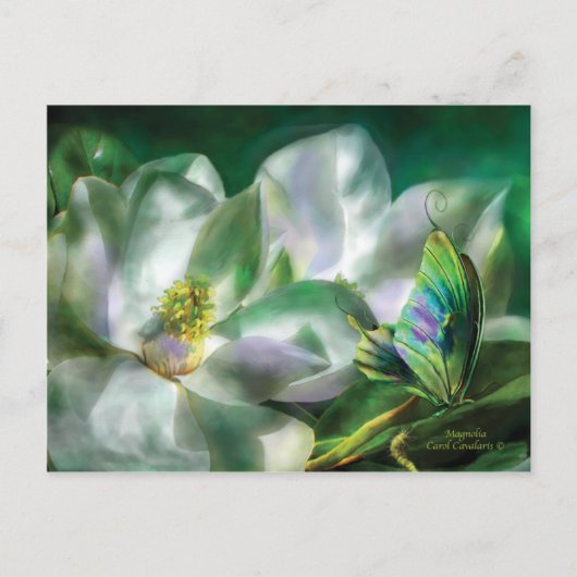 Magnolia Briefkaart (Voorkant)