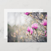 Magnolia Briefkaart (Voorkant / Achterkant)