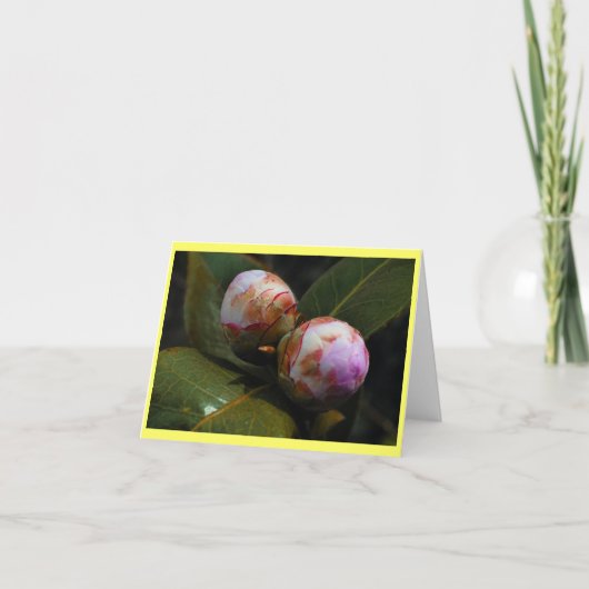 Magnolia Buds Kaart (Voorkant)