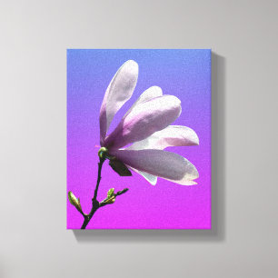 Magnolia Coloré Toile Enveloppée