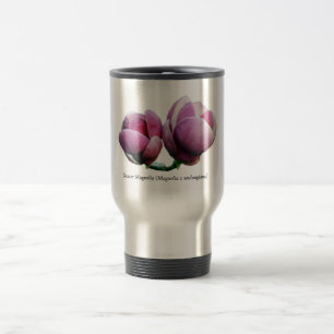 Magnolia de soucoupe - tasses