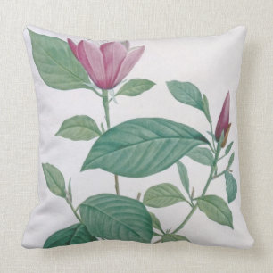Magnolia discolor, gegraveerd door Legrand (kleur Kussen
