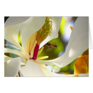 Magnolia en Honey Bee Card