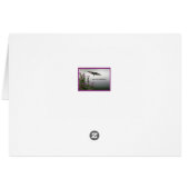 Magnolia Et Blue Sky (Dos Horizontal)