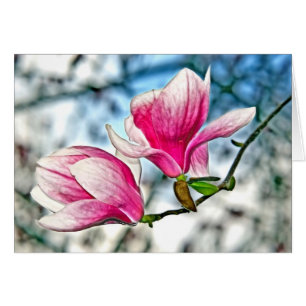 Magnolia Et Blue Sky