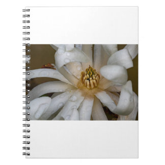 Magnolia étoilé notitieboek