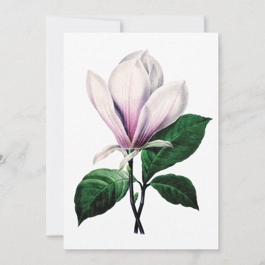 magnolia floral bruiloft uitnodiging (Achterkant)