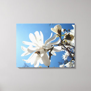 Magnolia Floral Toile de Fond Imprimée Art Printem