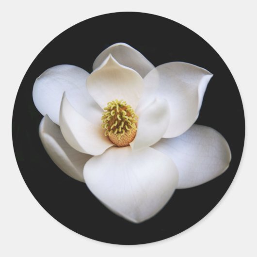 Magnolia Flower Black Round Sticker Floral (Voorkant)