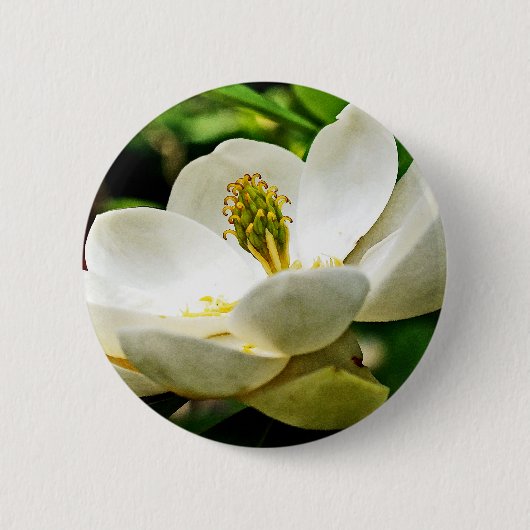 Magnolia Flower Close Ronde Button 5,7 Cm (Voorkant)