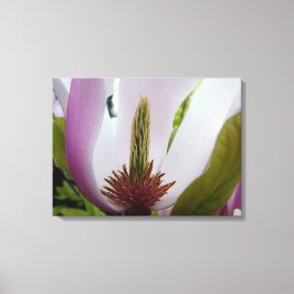 magnolia flower macroshot canvas afdruk