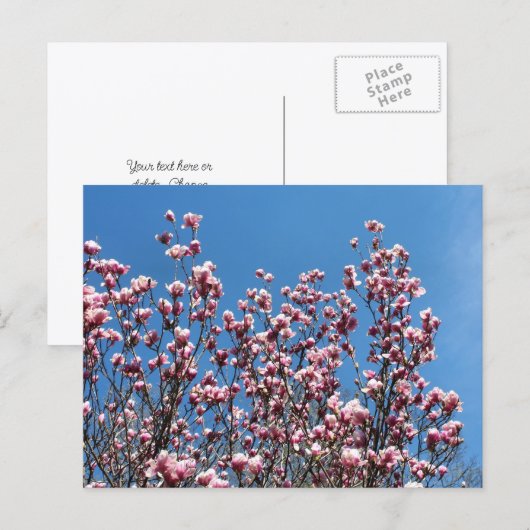 Magnolia Flowers Blue Sky Personalized Briefkaart (Voorkant / Achterkant)