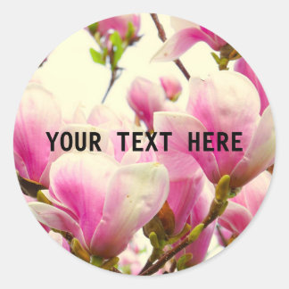 Magnolia Flowers Floral Botanical Blossom Chic Ronde Sticker