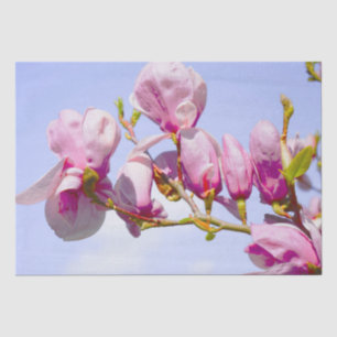 Magnolia Flowers Floral Botanical Blossom Chic Tissuepapier