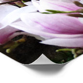 Magnolia Garden Poster (Hoek)