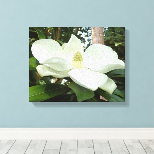 Magnolia Grandiflora Canvas Print (Insitu (Houten vloer))