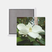Magnolia Grandiflora Magnet Magneet (Voorkant / Achterkant)
