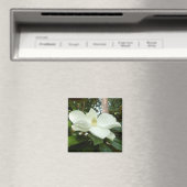 Magnolia Grandiflora Magnet Magneet (Insitu (Vaatwasser))