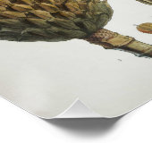 Magnolia Hodgsonii Perfect Poster (Hoek)