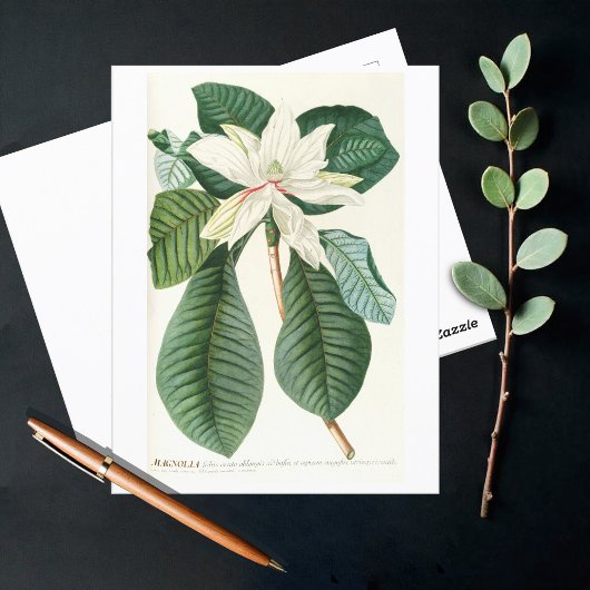 Magnolia III (1750-1773) Briefkaart